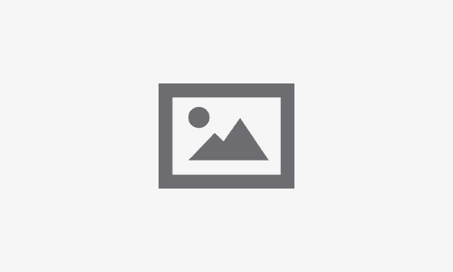 Microsoft Office 2019 Business Silent Setup Italian V2408 No TPM Required (EZTV)