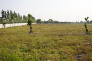 Al Rehman Developers Zarai Farms Houses